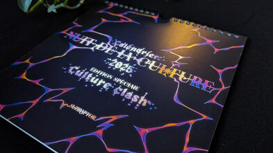 Calendrier NDLC 2025 Calendrier